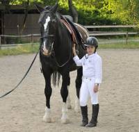 Sie wünschen sich Pferdetraining für Ihr Pferd? Kontaktieren Sie uns in Jülich.